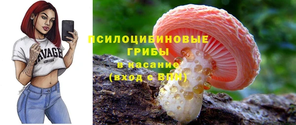 метамфетамин Белокуриха