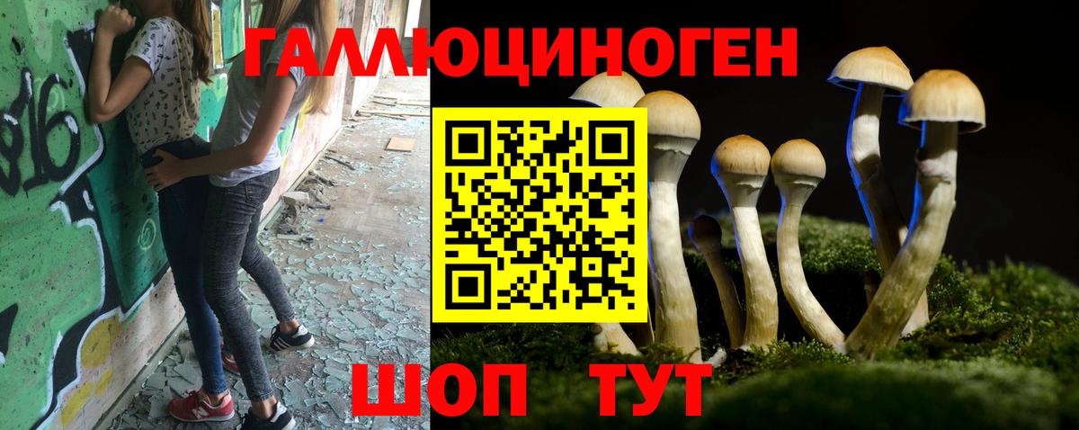 Галлюциногенные грибы Psilocybe  Вход с VPN  Галлюциногенные грибы GOLDEN TEACHER  Воскресенск 